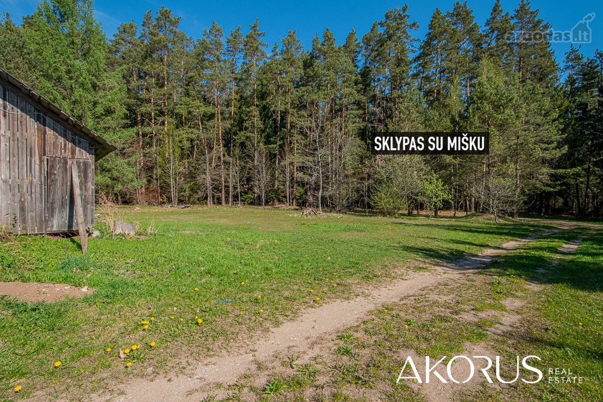 Verta Žinoti - nuotraukos Nr. 14