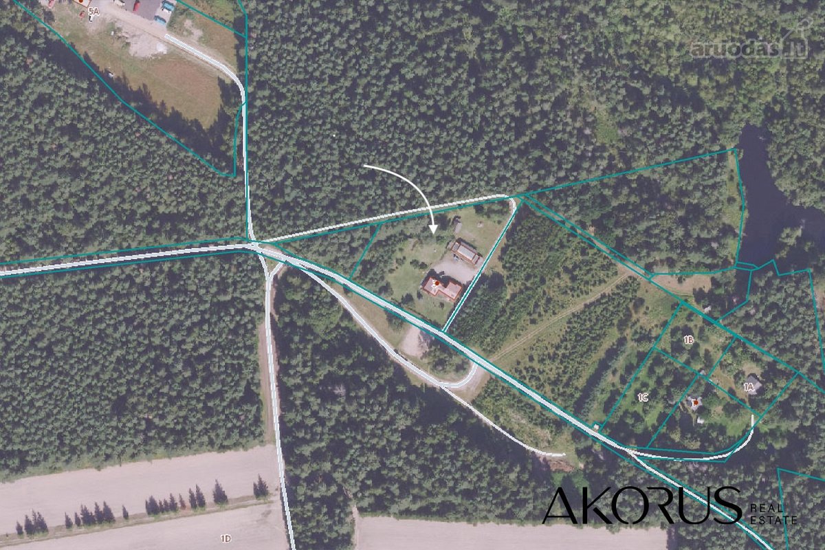 Verta Žinoti - nuotraukos Nr. 16