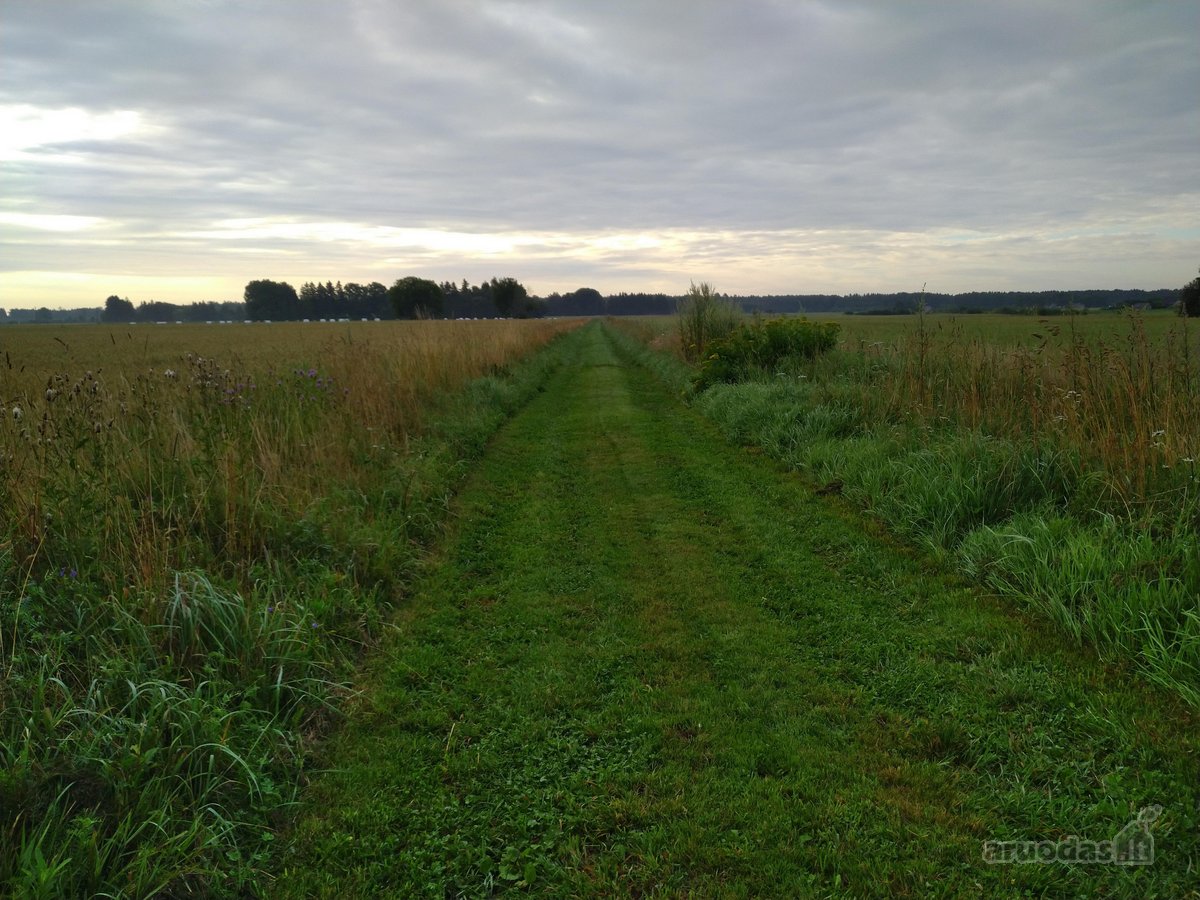 Parduodama sena sodyba (vienkiemis) prie - nuotraukos Nr. 4