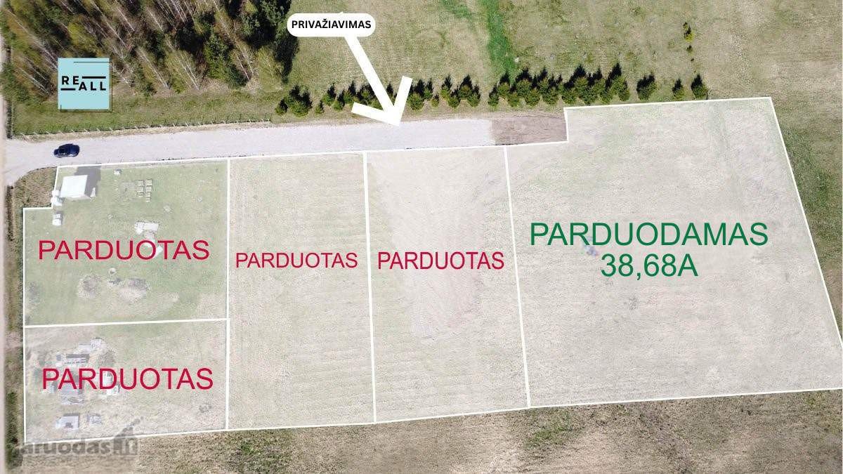 Parduodamas Namų Valdos Sklypas Miškų - nuotraukos Nr. 4