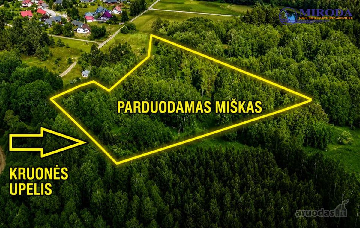 Upelis, miškas, asfaltas, šalia komunikacijos. - nuotraukos Nr. 2