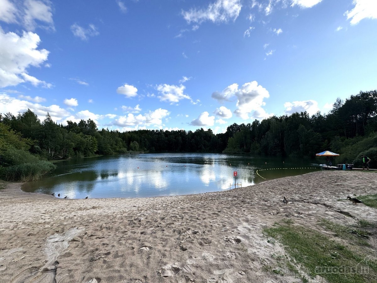 Parduodamas 2 kambarių butas Dvarčionyse, - nuotraukos Nr. 27
