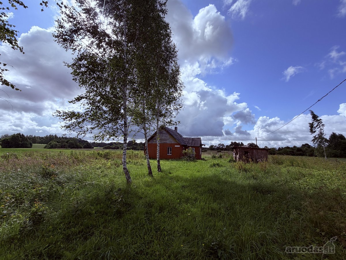 Širvintų Rajone, Šešuolėlių II Kaime - nuotraukos Nr. 11