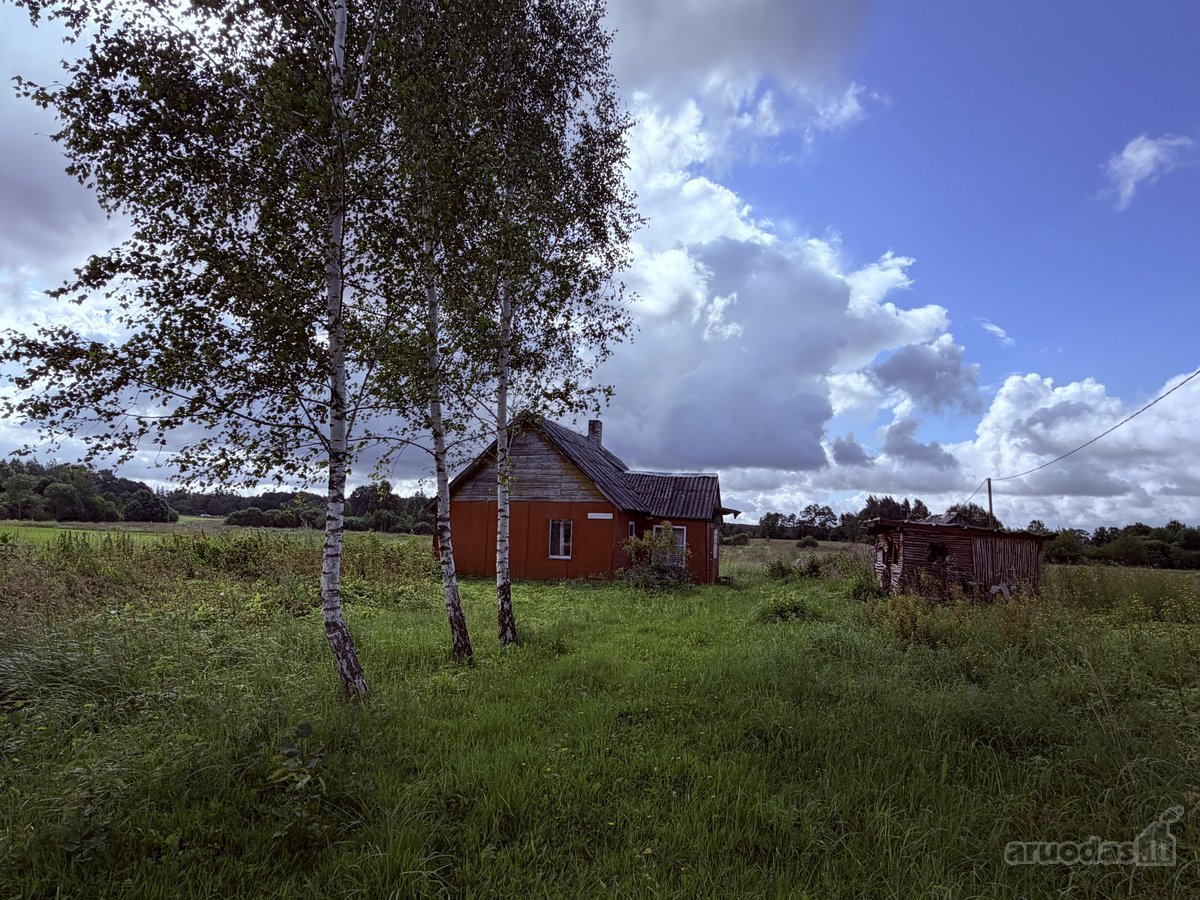 Širvintų Rajone, Šešuolėlių II Kaime - nuotraukos Nr. 16