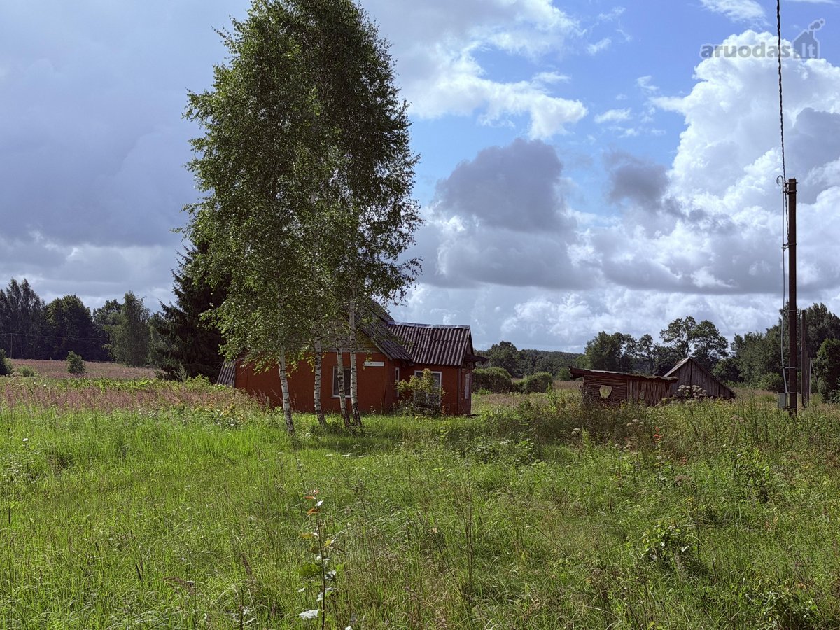 Širvintų Rajone, Šešuolėlių II Kaime - nuotraukos Nr. 15
