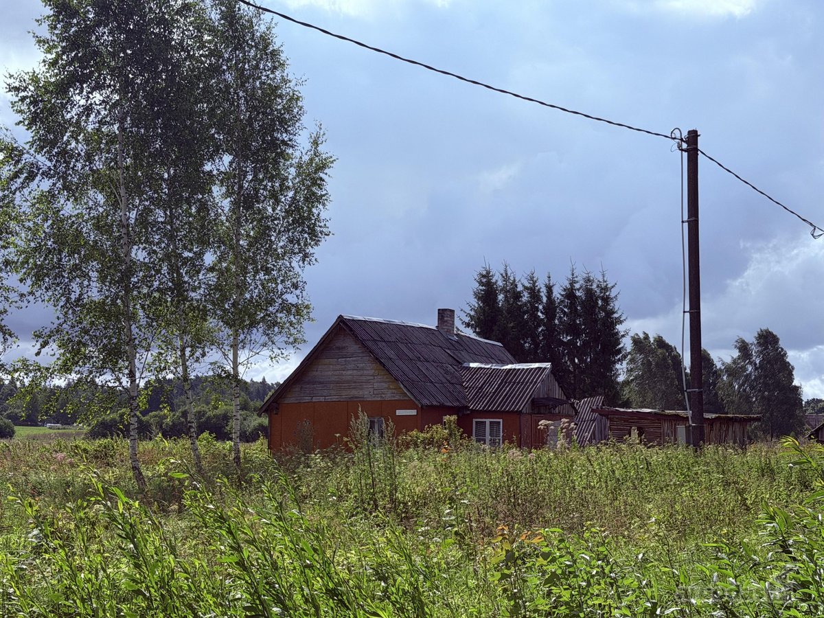 Širvintų Rajone, Šešuolėlių II Kaime - nuotraukos Nr. 17