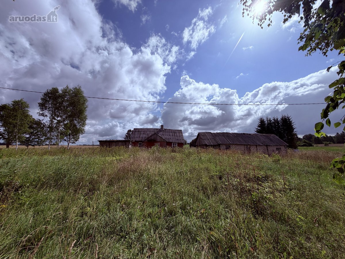Širvintų Rajone, Šešuolėlių II Kaime - nuotraukos Nr. 8
