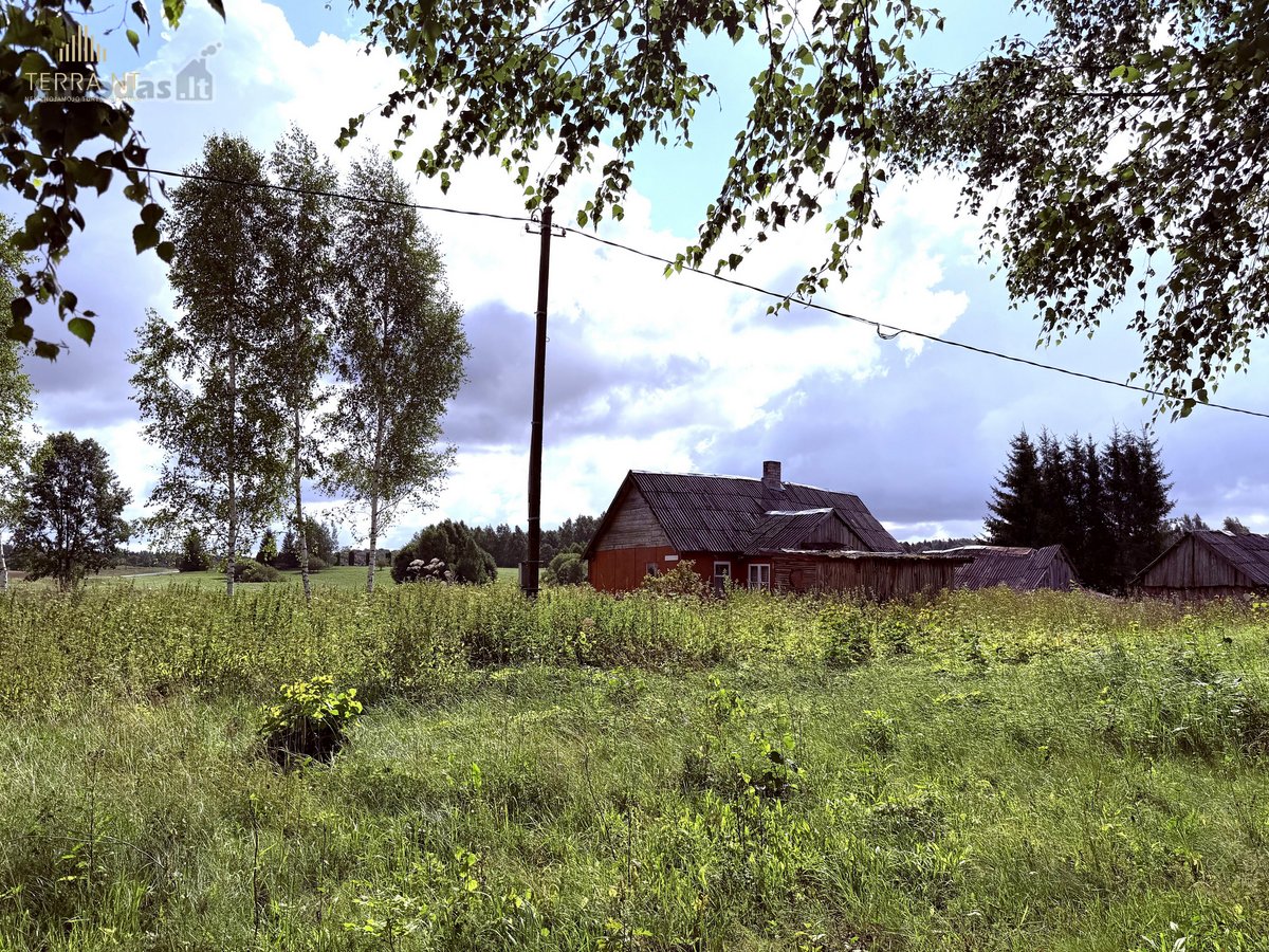 Širvintų Rajone, Šešuolėlių II Kaime - nuotraukos Nr. 7