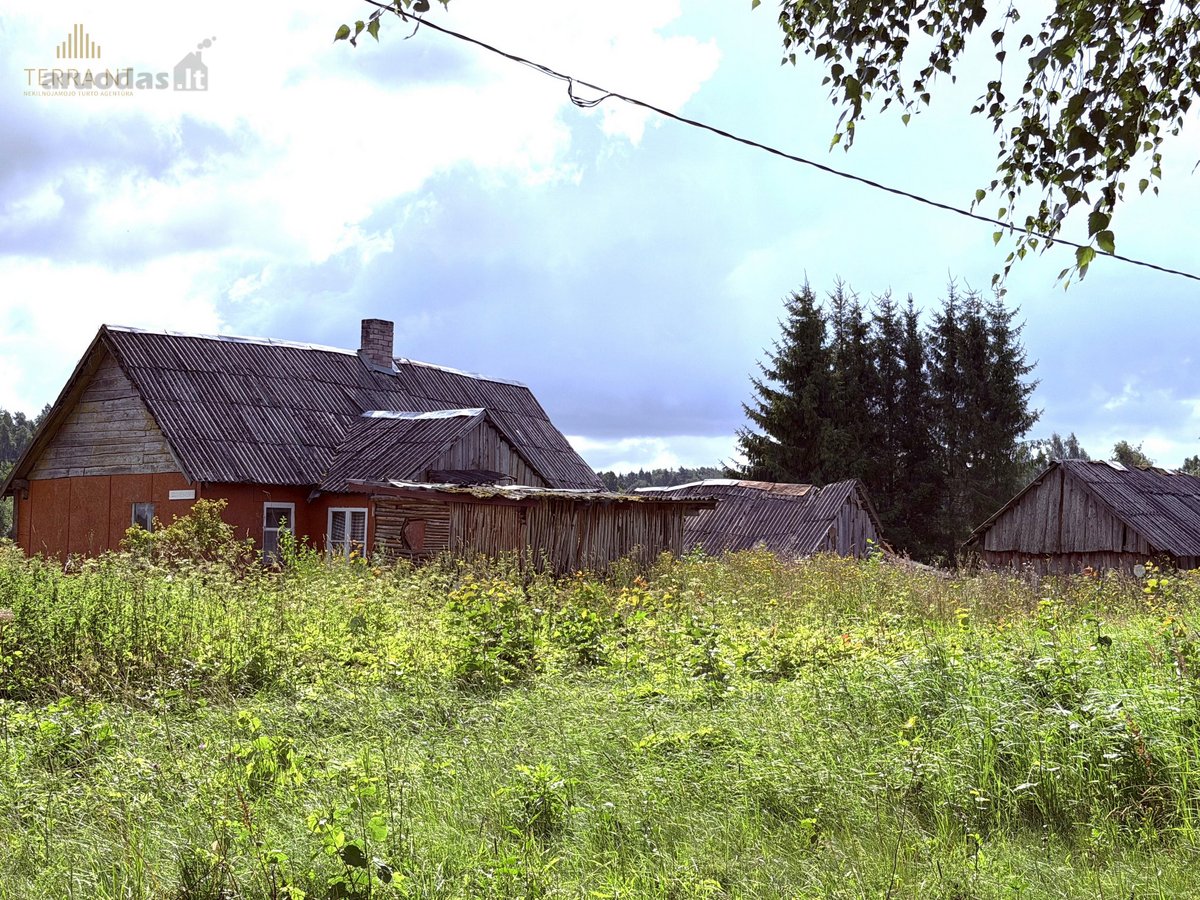 Širvintų Rajone, Šešuolėlių II Kaime - nuotraukos Nr. 12