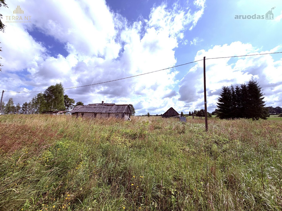 Širvintų Rajone, Šešuolėlių II Kaime - nuotraukos Nr. 6