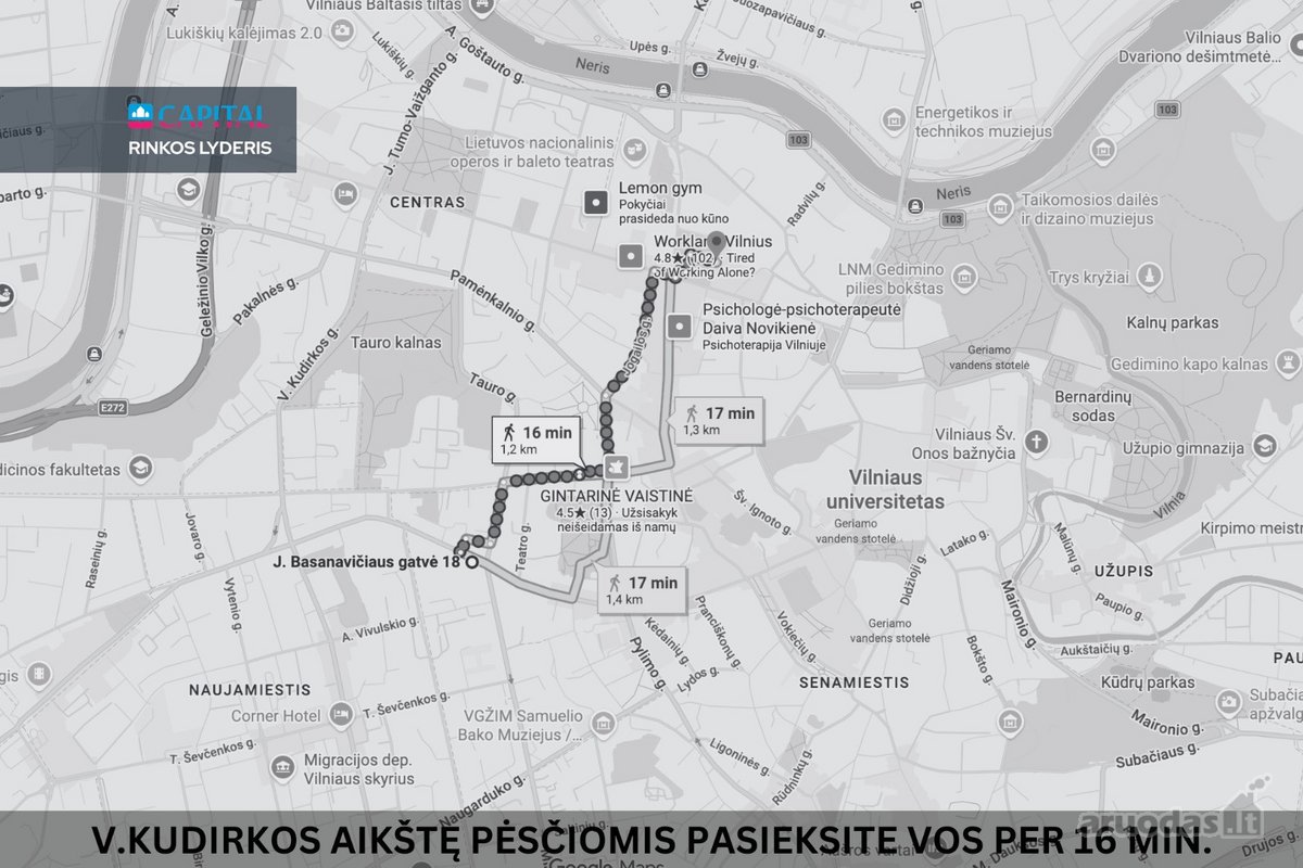 Naujamiestyje, J. Basanavičiaus Gatvėje, - nuotraukos Nr. 22