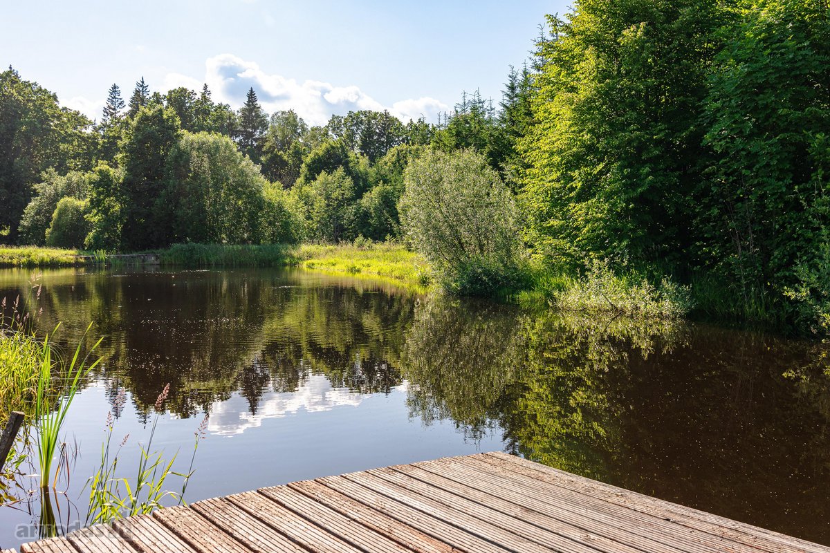 Tarp upės ir dviejų tvenkinių, miško - nuotraukos Nr. 30