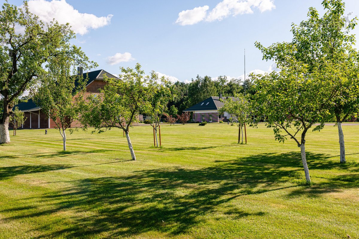 Tarp upės ir dviejų tvenkinių, miško - nuotraukos Nr. 31