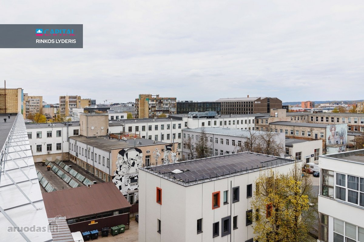 Niujorko Stiliaus Loftas Su Židiniu Ir - nuotraukos Nr. 28