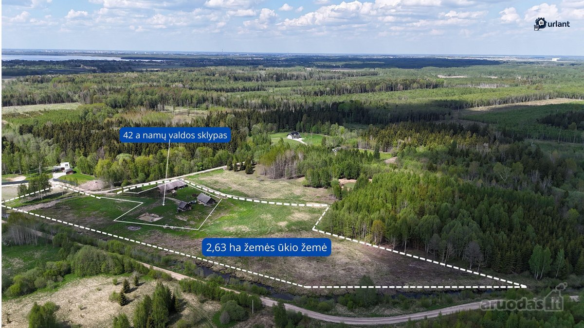 Puikiai Tinka Norintiems Iškirtinumo Ir - nuotraukos Nr. 2