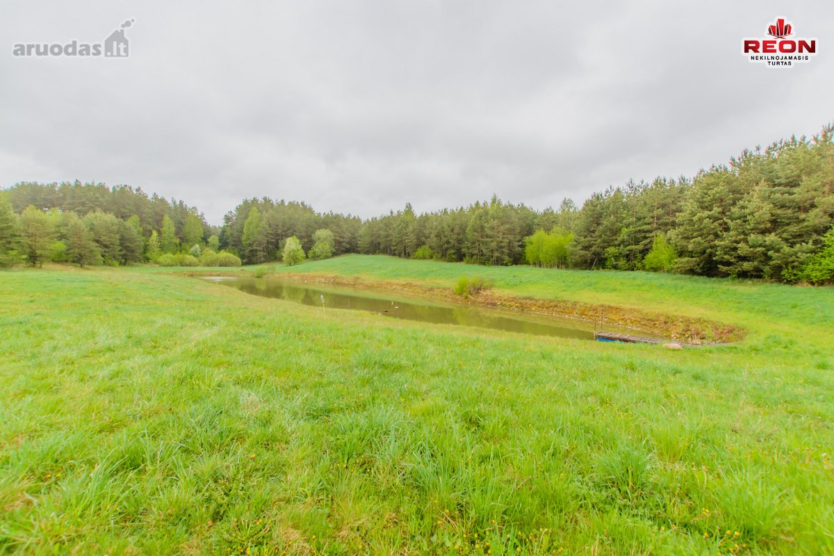 22 Ha Sklypas Su Namo Proektu Tetervinės - nuotraukos Nr. 5