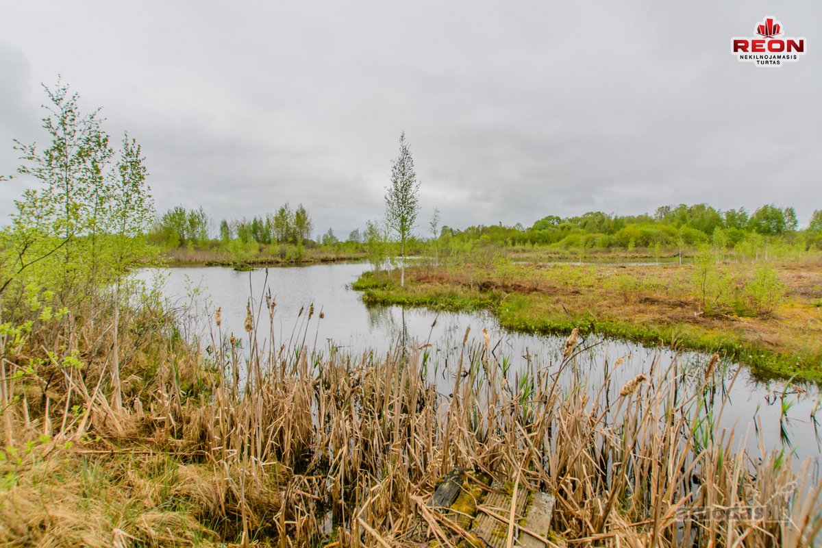 22 Ha Sklypas Su Namo Proektu Tetervinės - nuotraukos Nr. 7