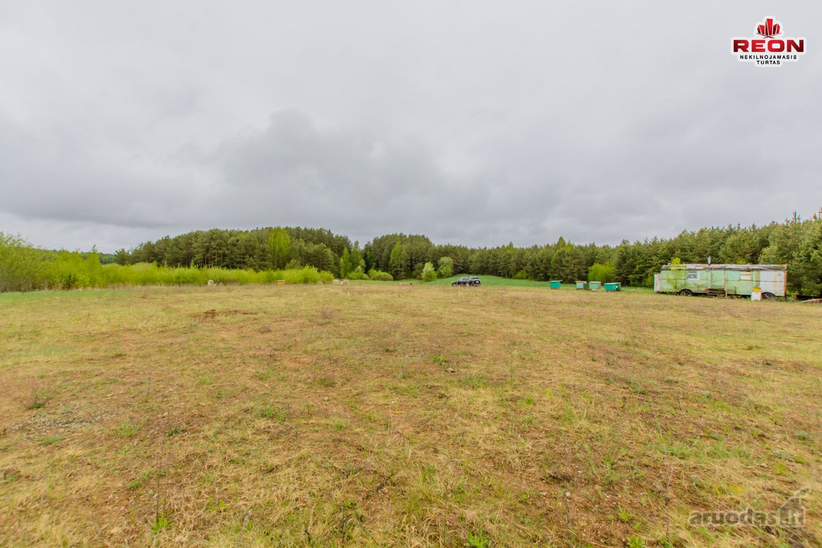 22 Ha Sklypas Su Namo Proektu Tetervinės - nuotraukos Nr. 10