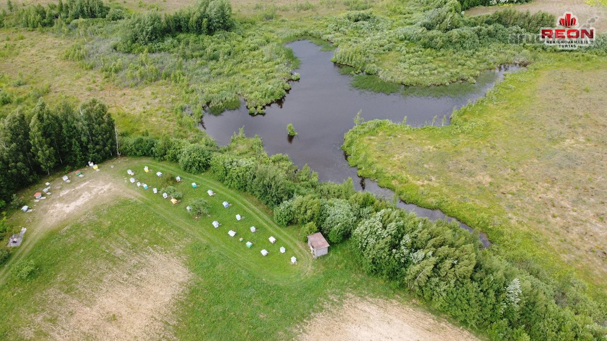 22 Ha Sklypas Su Namo Proektu Tetervinės - nuotraukos Nr. 13