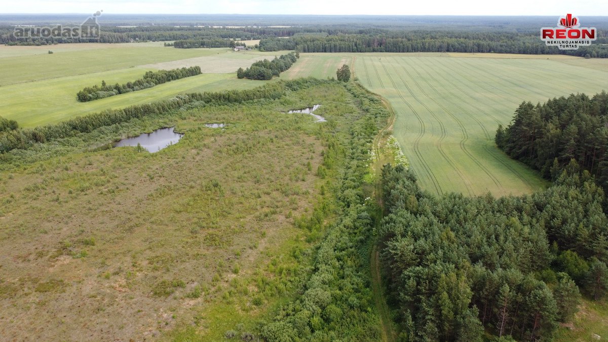 22 Ha Sklypas Su Namo Proektu Tetervinės - nuotraukos Nr. 14