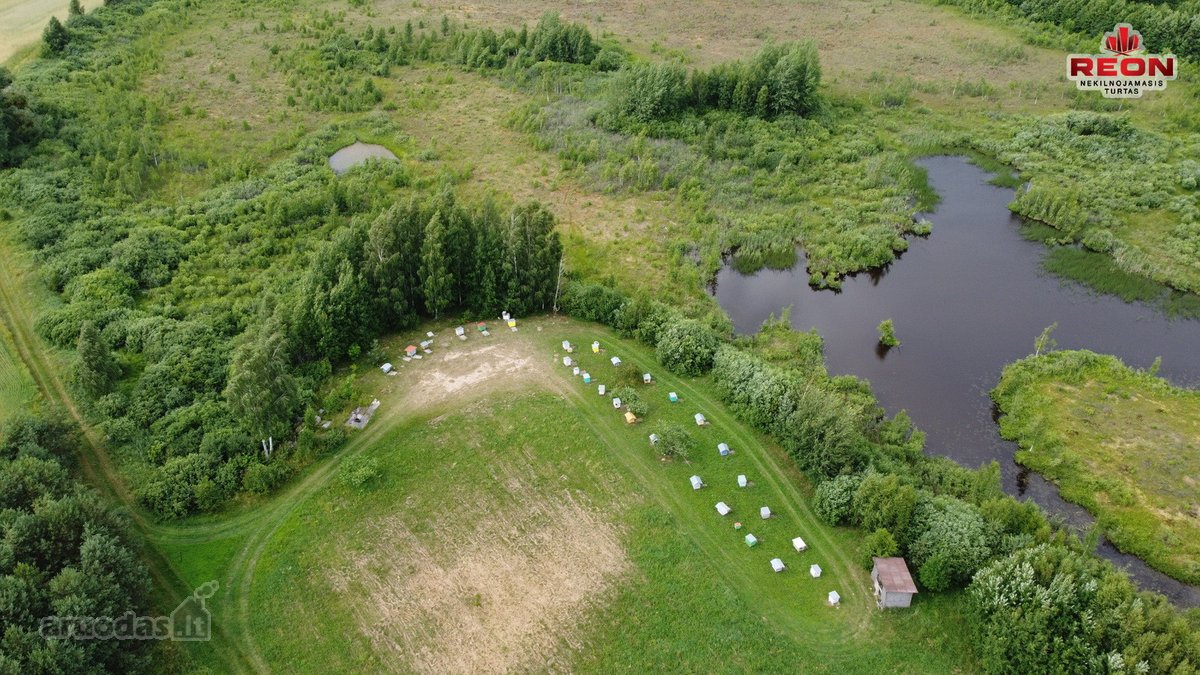 22 Ha Sklypas Su Namo Proektu Tetervinės - nuotraukos Nr. 16