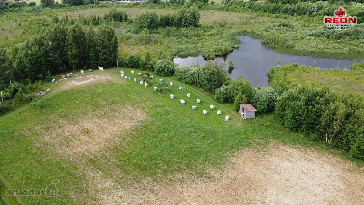 22 Ha Sklypas Su Namo Proektu Tetervinės - nuotraukos Nr. 17