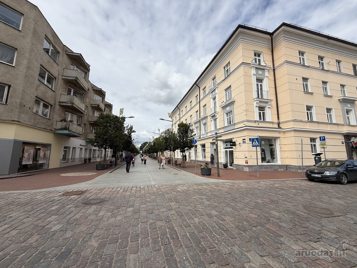 Išnuomojamas 2 k. butas su baldais ir buitine - nuotraukos Nr. 3