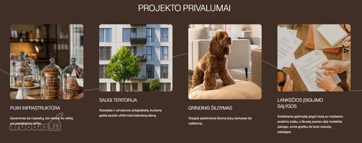 Atvirų durų dienos – kiekvieną dieną! - nuotraukos Nr. 5