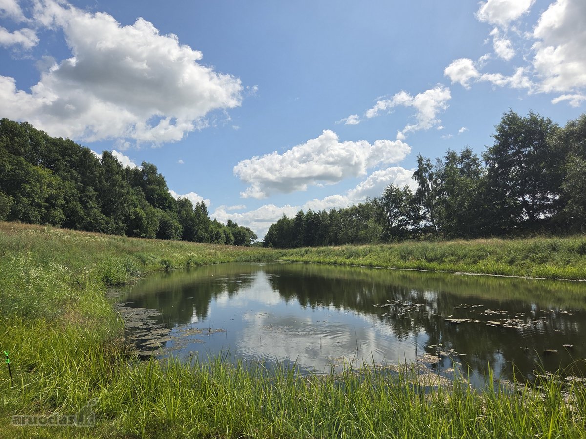 Parduodama 8,66 ha sodyba Molėtų r. – - nuotraukos Nr. 18