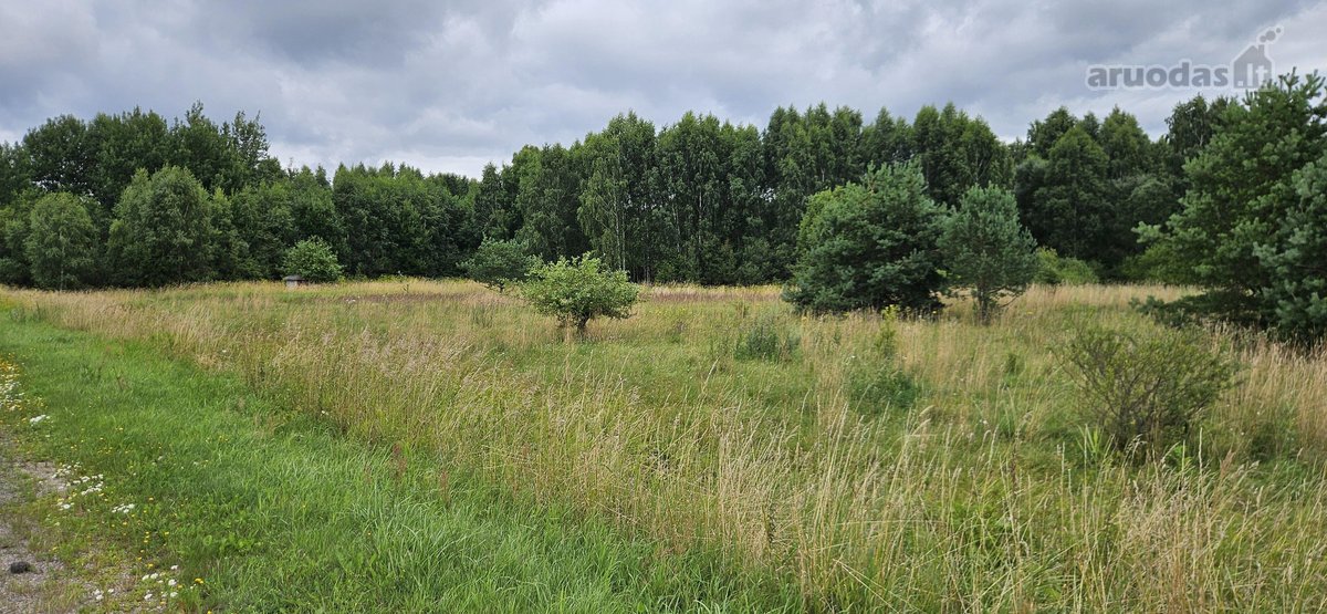 Parduodamas 1.24ha zemes ukio paskirties - nuotraukos Nr. 3