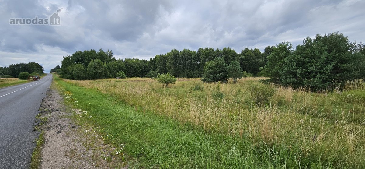 Parduodamas 1.24ha zemes ukio paskirties - nuotraukos Nr. 4