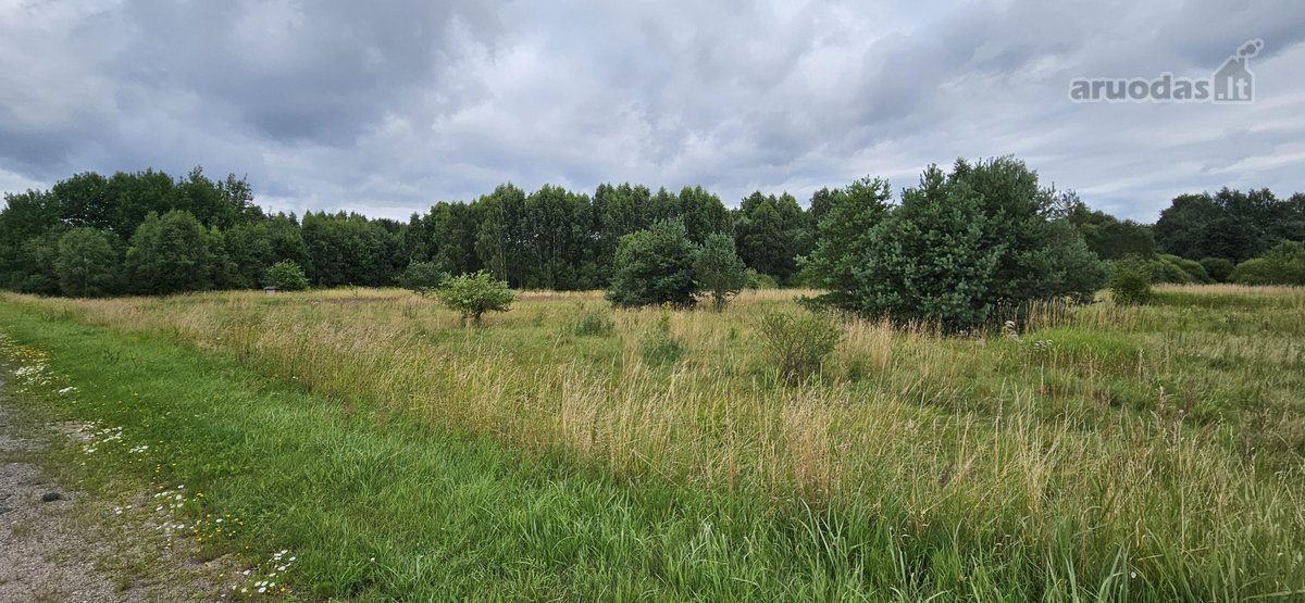 Parduodamas 1.24ha zemes ukio paskirties - nuotraukos Nr. 5