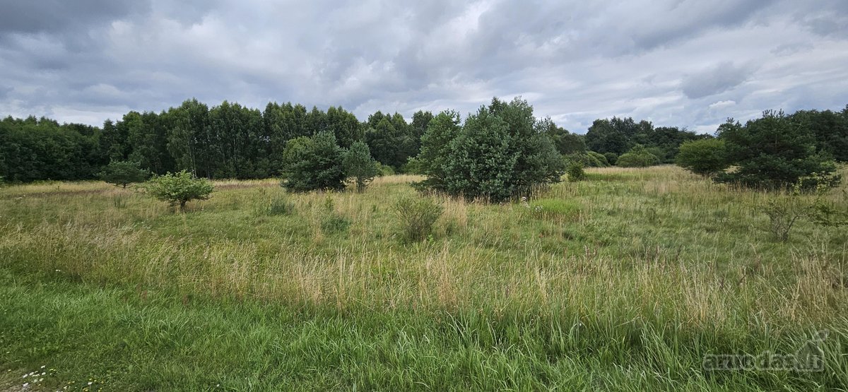Parduodamas 1.24ha zemes ukio paskirties - nuotraukos Nr. 6