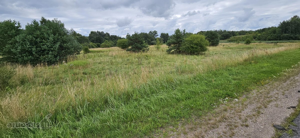 Parduodamas 1.24ha zemes ukio paskirties - nuotraukos Nr. 8
