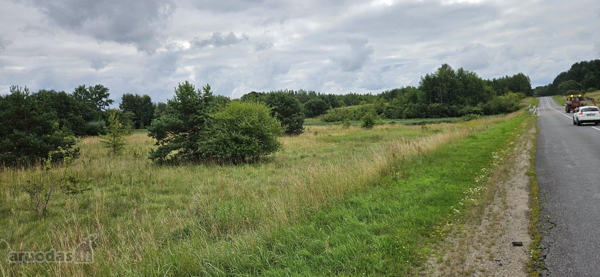 Parduodamas 1.24ha zemes ukio paskirties - nuotraukos Nr. 10