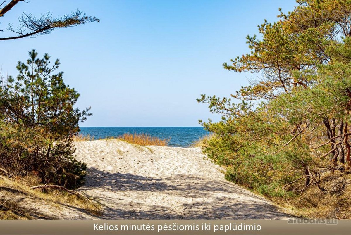 Ramioje Palangos vietoje šalia “vanagupės, - nuotraukos Nr. 24