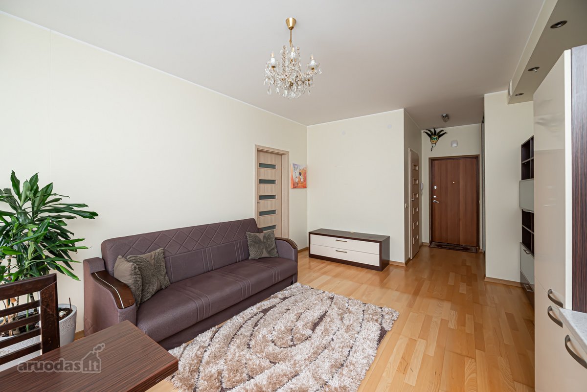 Visai šalimais Vilniaus miesto centro - nuotraukos Nr. 6