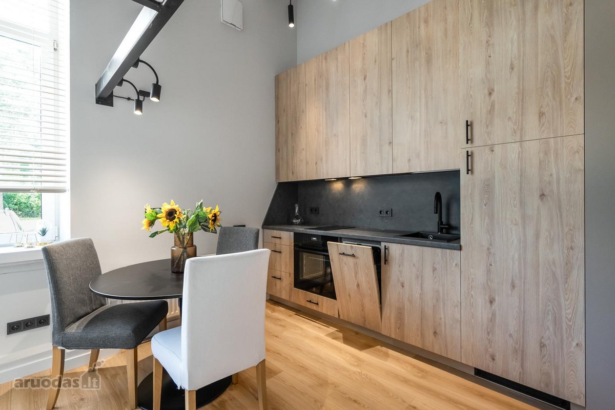 Wonderful loft fully renovated , full equiped - nuotraukos Nr. 7
