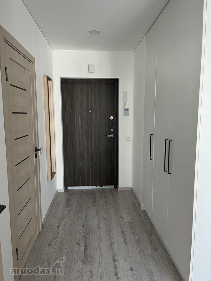 Išnuomojamas jaukus ir labai tylus 2 kambarių - nuotraukos Nr. 14