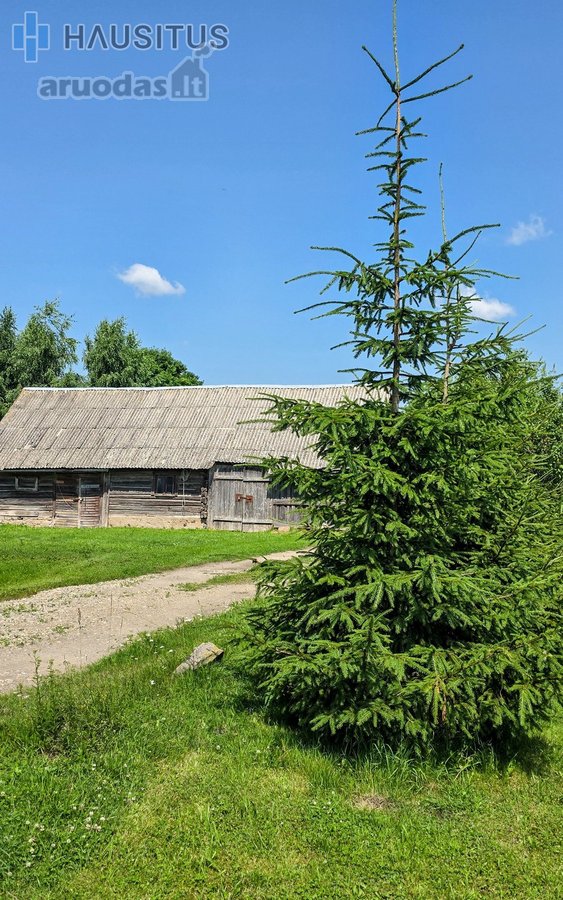 Pardavimo kaina 35 000 eurų - nuotraukos Nr. 5