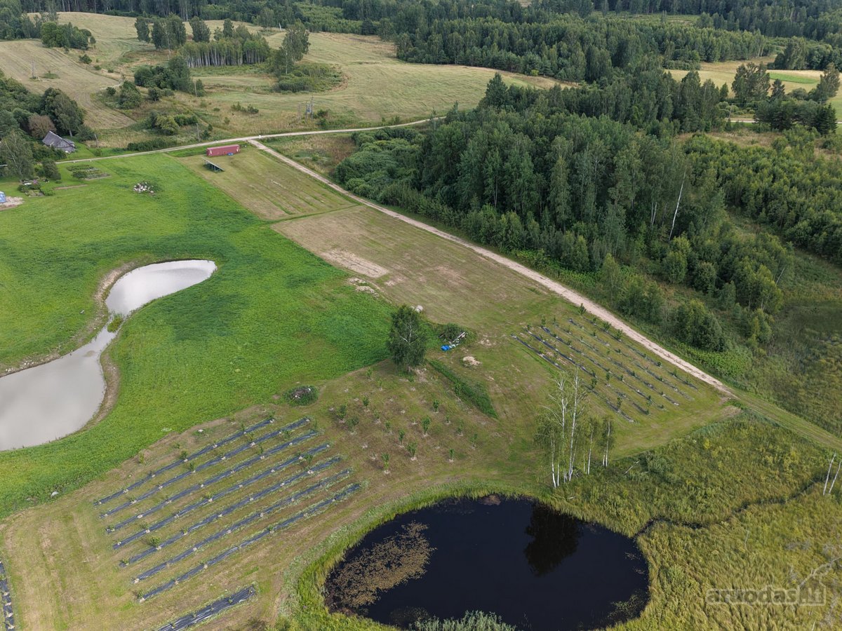 Parduodamas unikalus 4,3217 ha sklypas - nuotraukos Nr. 6