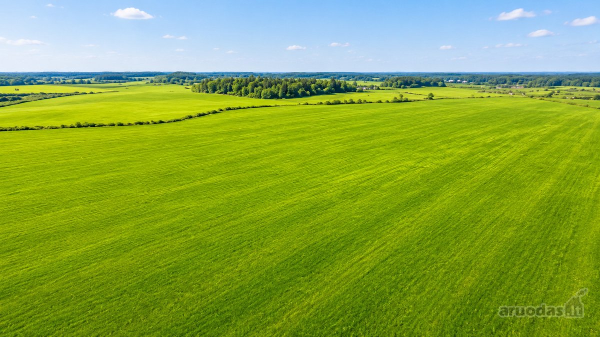 Parduodami 2 Žemės Ūkio Sklypai Širvintų - nuotraukos Nr. 9