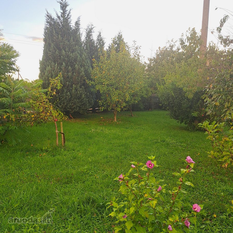 Parduodamas erdvus ir jaukus namas Paberžės - nuotraukos Nr. 30