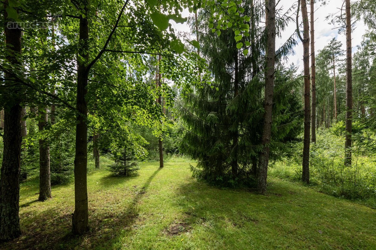 Parduodamas pasakiškoje vietoje esantis ir - nuotraukos Nr. 6