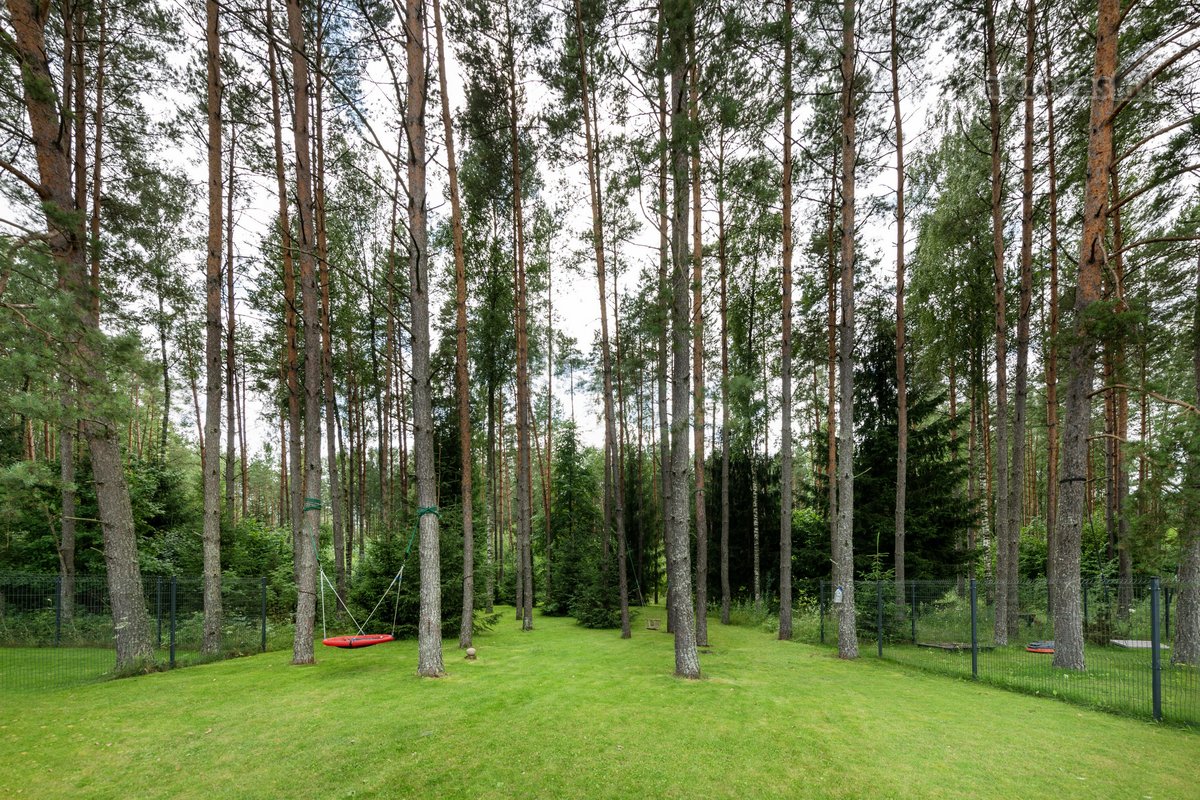 Parduodamas pasakiškoje vietoje esantis ir - nuotraukos Nr. 7
