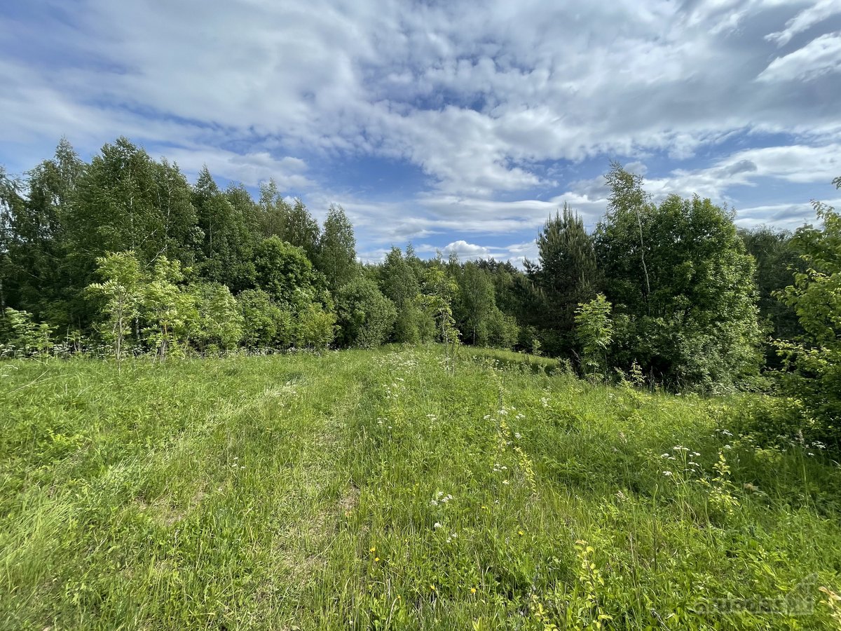 Parduodamas 3.61 Ha Sklypas Su Žaliuojančiu - nuotraukos Nr. 2
