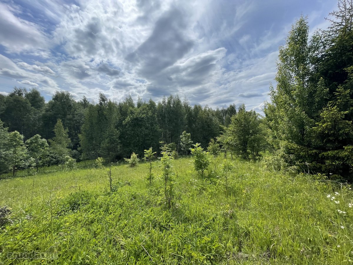Parduodamas 3.61 Ha Sklypas Su Žaliuojančiu - nuotraukos Nr. 5