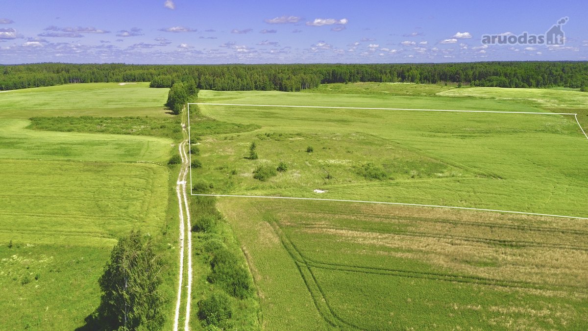 Parduodamas didelis 7,7439 ha žemės ūkio - nuotraukos Nr. 2