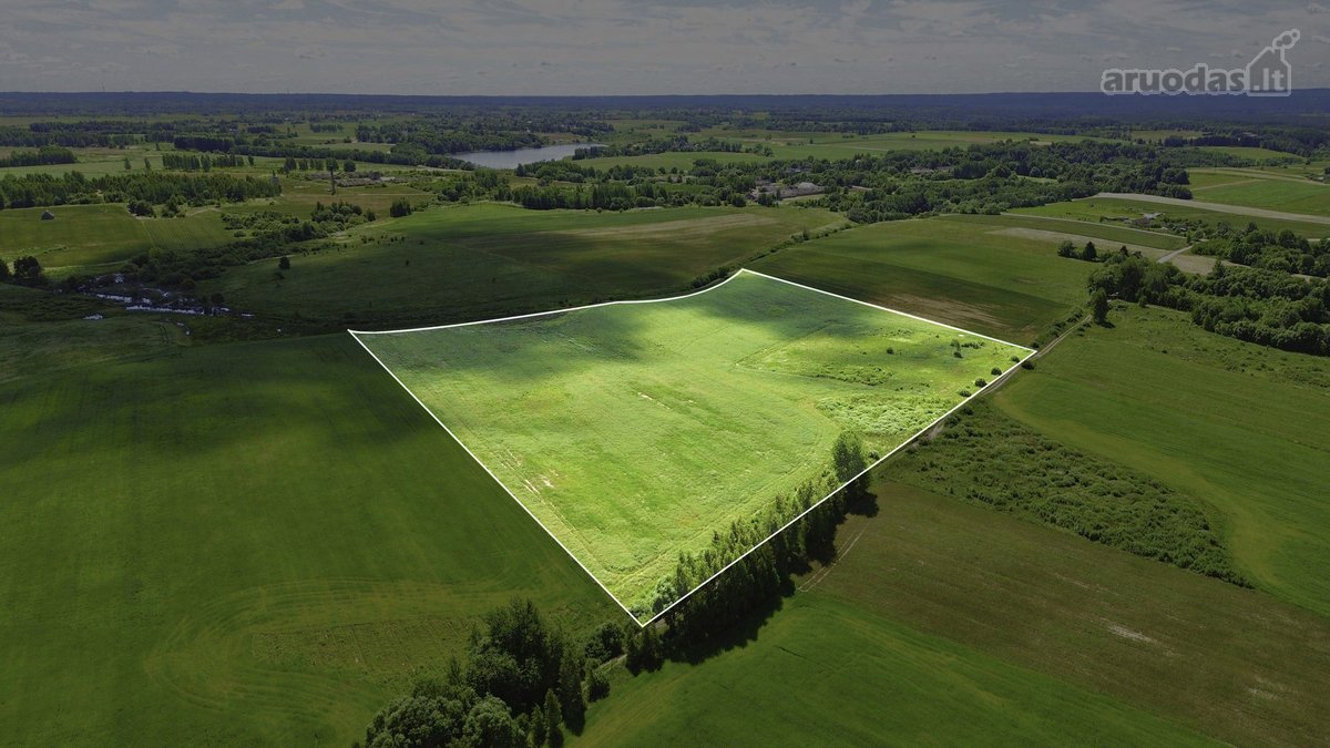 Parduodamas didelis 7,7439 ha žemės ūkio - nuotraukos Nr. 3
