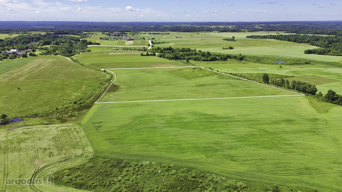 Parduodamas didelis 7,7439 ha žemės ūkio - nuotraukos Nr. 4